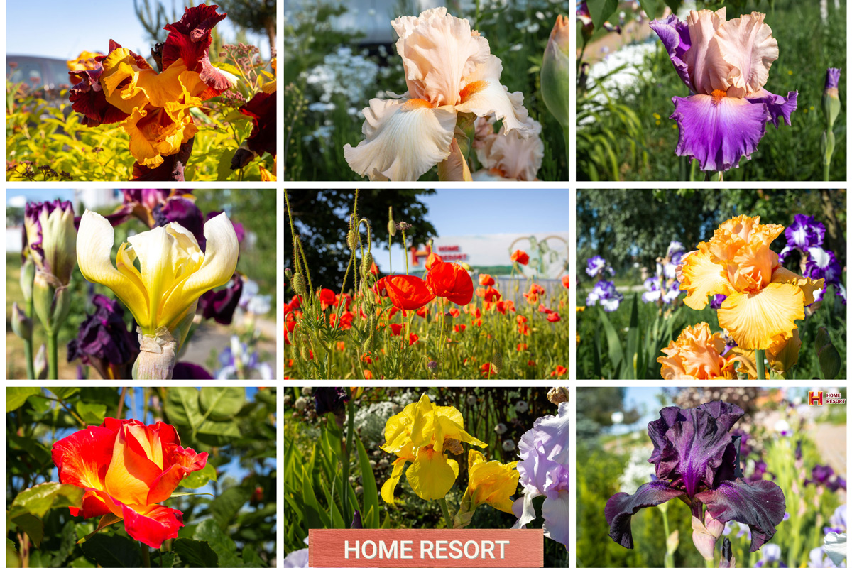 FLOWERS HOME RESORT