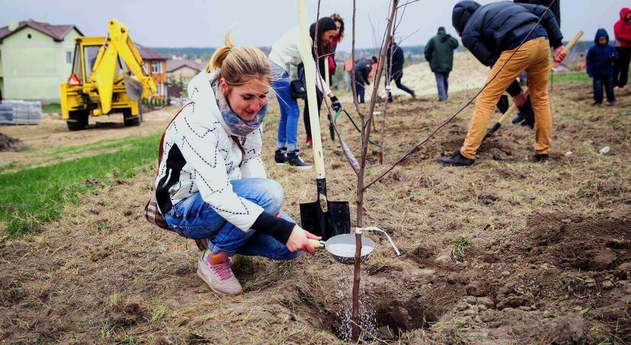 Висаджені понад 30 тисяч дерев Висаджені понад 30 тисяч дерев
