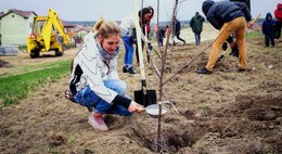 Висаджені понад 30 тисяч дерев Висаджені понад 30 тисяч дерев