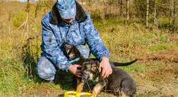 Молодые охранники на страже порядка Молодые охранники на страже порядка