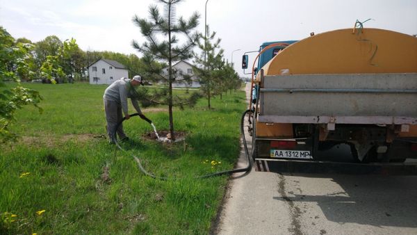 Весняний полив нових дерев
